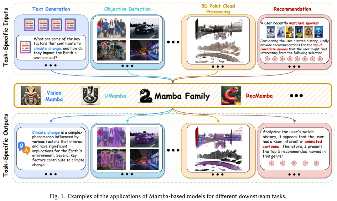 深入了解Mamba：Transformer的强有力竞争者